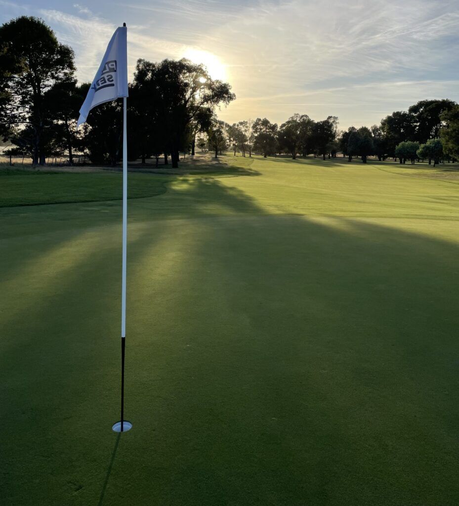 Women in turf green sun photo